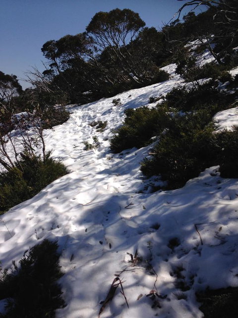 Shady Brook Cottages - Accommodation Europe 11