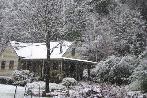 Shady Brook Cottages - Accommodation Europe 30