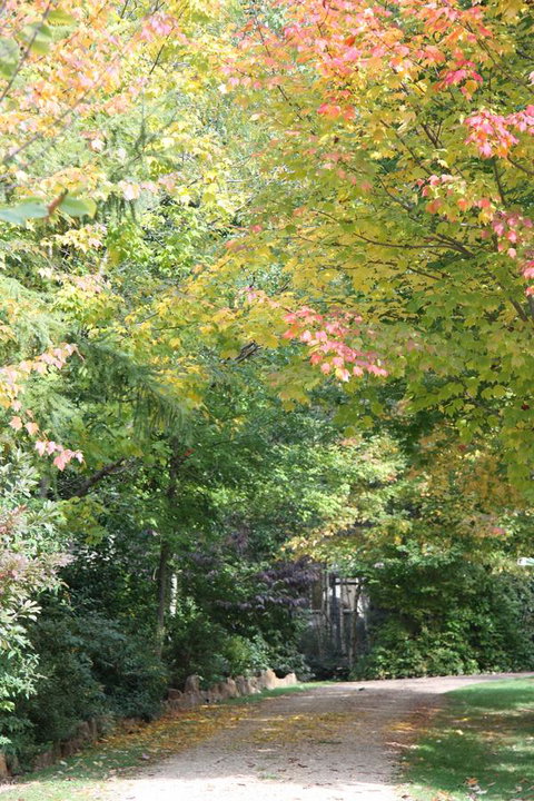 Shady Brook Cottages - Accommodation Europe 14