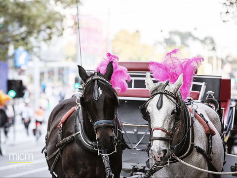 Rose Lane Serviced Apartment - Events Australia 16