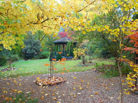 Merrimeet Cottages - Accommodation Europe 7