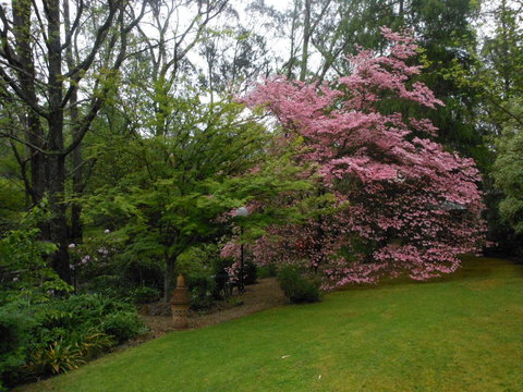 Merrimeet Cottages - Accommodation Europe 23