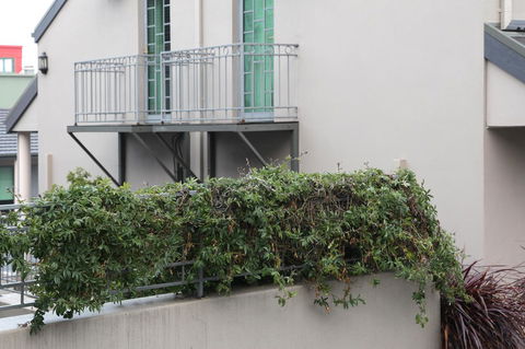 Quality Inn & Suites The Menzies - Tourism Bookings 23