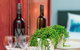 Amara Springs Guest House - thumb 2