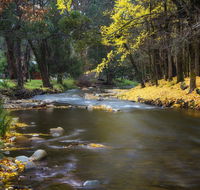 Goldfield Holiday Units - Tourism Bookings