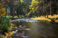 Goldfield Holiday Units