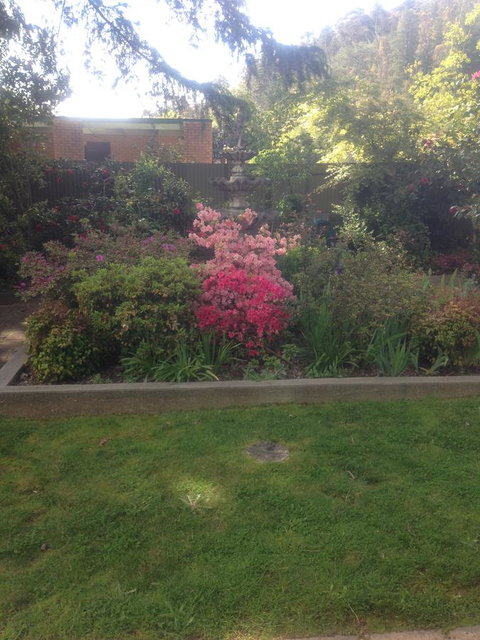 Viewhill Holiday Units - Accommodation Europe 4