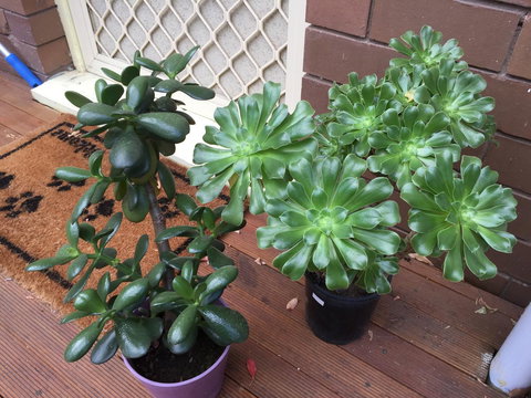 Doncaster Westfield Home Stay - Events Australia 23