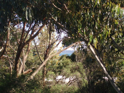 Aloha Ha Phillip Island - Events Australia 24