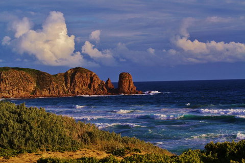 Arcadia Phillip Island - Events Australia 27