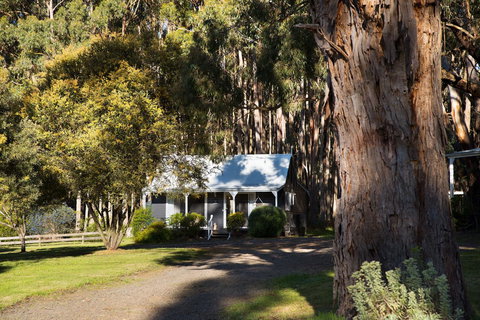 Bodhi Daylesford - Accommodation Europe 8