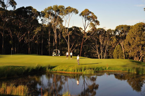 RACV Goldfields Resort - Tourism Bookings 31
