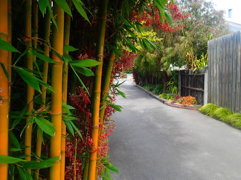 Azen Haven - Events Australia 14