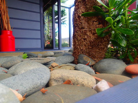 Azen Haven - Events Australia 11