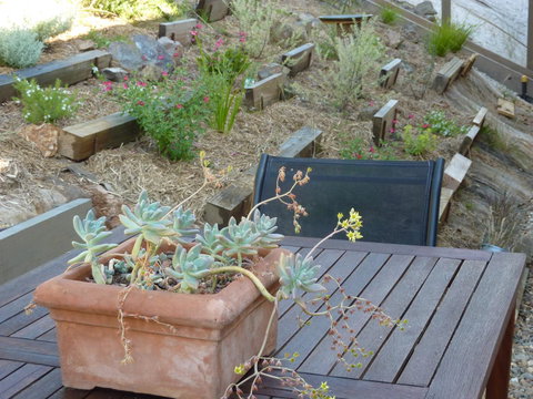 Saje\'s House & Pod - Events Australia 12