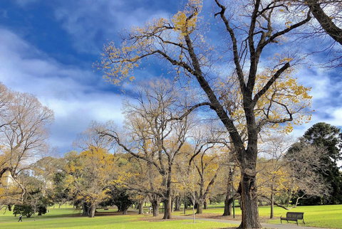 Fawkner Apartment Bay-view 4 - Events Australia 31