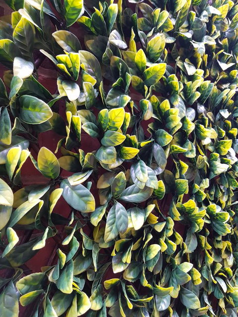 Myers CBD - Events Australia 10