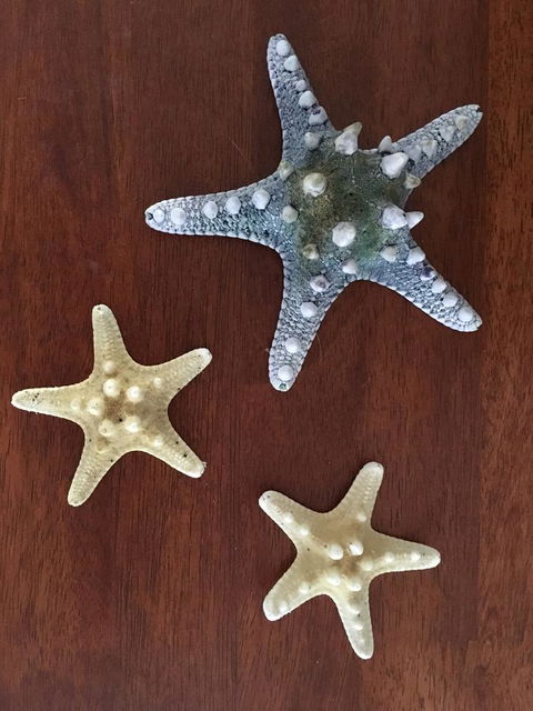 Ocean View Beach House - Events Australia 2