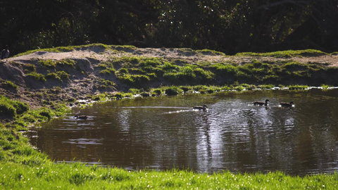 Limosa Rise - Events Australia 15