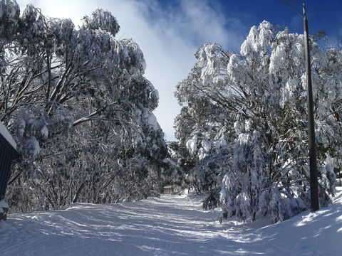 Maisonettes Falls Creek - Tourism Bookings 17