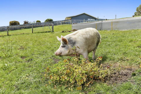 Anchors Port Campbell - Events Australia 27