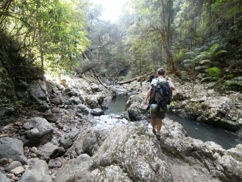 The Canungra Motel - Tourism Bookings 1