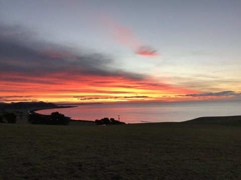 The Cove Tasmania - Events Australia 1