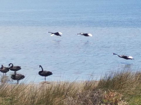 The DOLPHIN PLACE - Events Australia 0