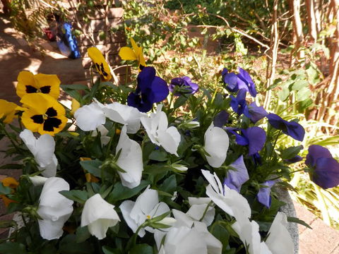 The Hideaway Luxury B&B Retreat - Events Australia 1