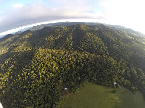 The Jungle Stays - Accommodation Europe 1
