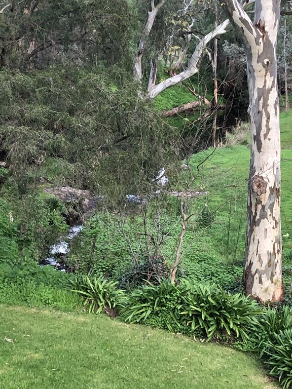 Cockatoo Valley SA Events Australia