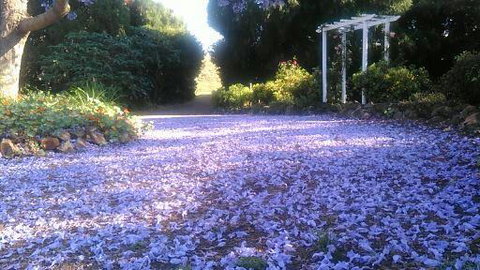 The Old Church Bed And Breakfast - Events Australia 2