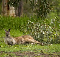 The Stirling Golf Club - Events Australia