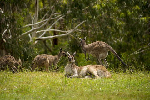 The Stirling Golf Club - Events Australia 1