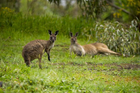 The Stirling Golf Club - Events Australia 2