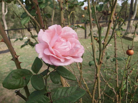 The Table Guest House - Events Australia 0