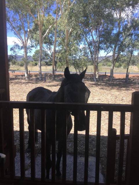 Thie My Chree Retreat - Events Australia 3