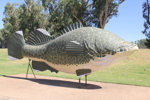 Tocumwal Hotel Motel (The Palms) - Events Australia 1