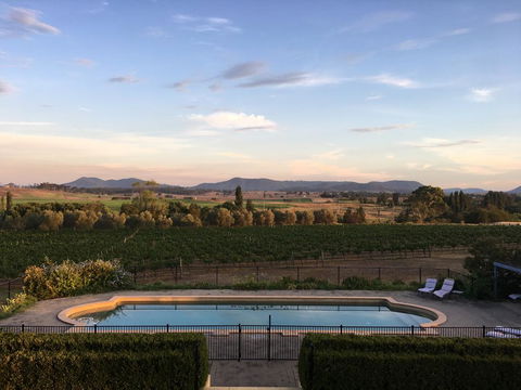 Tranquil Vale Vineyard - Tourism Bookings 0