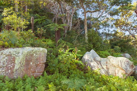 Treehouse Palm Beach - Tourism Bookings 2