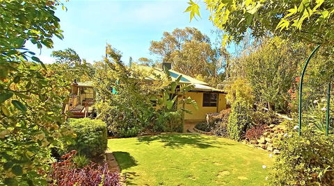 Treetops Escape - Tourism Bookings 2