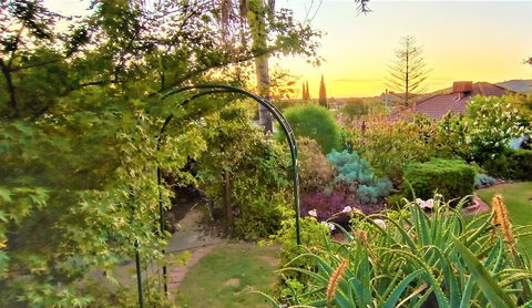 Treetops Escape - Tourism Bookings 1
