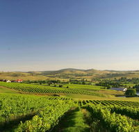 Turners Vineyard Motel - Tourism Bookings