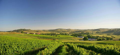 Turners Vineyard Motel - Tourism Bookings 0