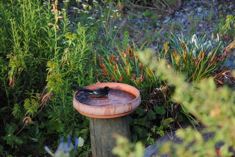 Tweed Valley Lodge - Events Australia 2