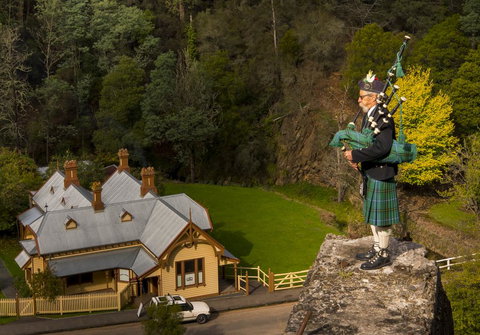 Walhalla Wild Cherry - Events Australia 2