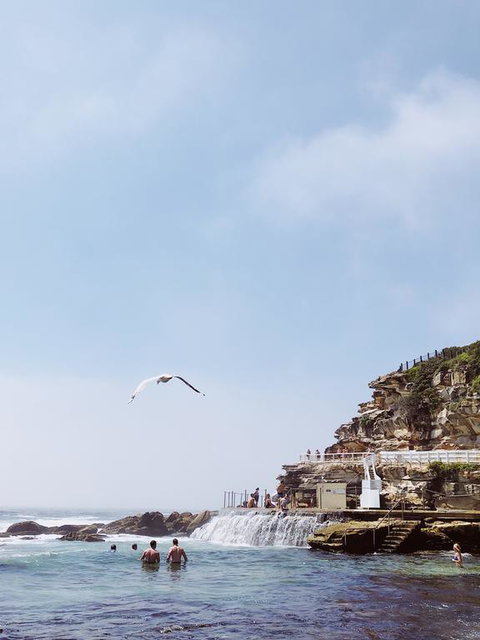 Walk To Beach From This Stylish Bronte Oasis W AC, Wifi And Free Parking - Events Australia 3