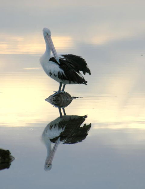 Wanderers Rest Of Kangaroo Island - Events Australia 3