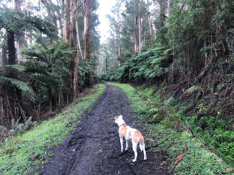 Warby Weekender - Events Australia 3