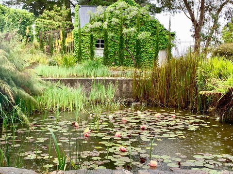 Waterhouse - Tourism Bookings 1